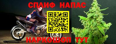 индика Янаул
