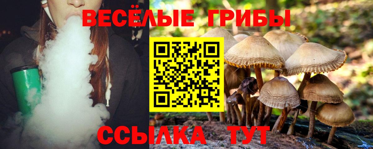 Галлюциногенные грибы мицелий  закладки  Галлюциногенные грибы ЛСД  Белореченск  Вход с VPN 